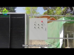 Projekt AX Single-span Greenhouse