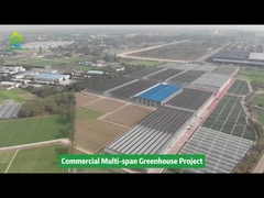 Tunel z folii polietylenowej Wieloprzęsłowa szklarnia rolnicza do uprawy warzyw