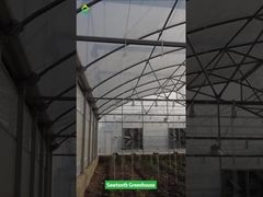 Szklarnia foliowa tropikalna z konstrukcją piłokształtną