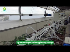 Koryto do sadzenia truskawek