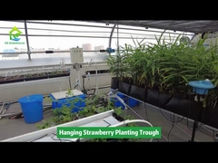 Wiszący pojemnik do sadzenia truskawek, oszczędzający miejsce