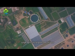 Duża baza roślin w szklarniach rolniczych