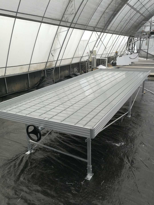 Wartość cieplarnianą Ebb Flow Seeding Rolling Bench Grow Tables For Growing Various Plant Types