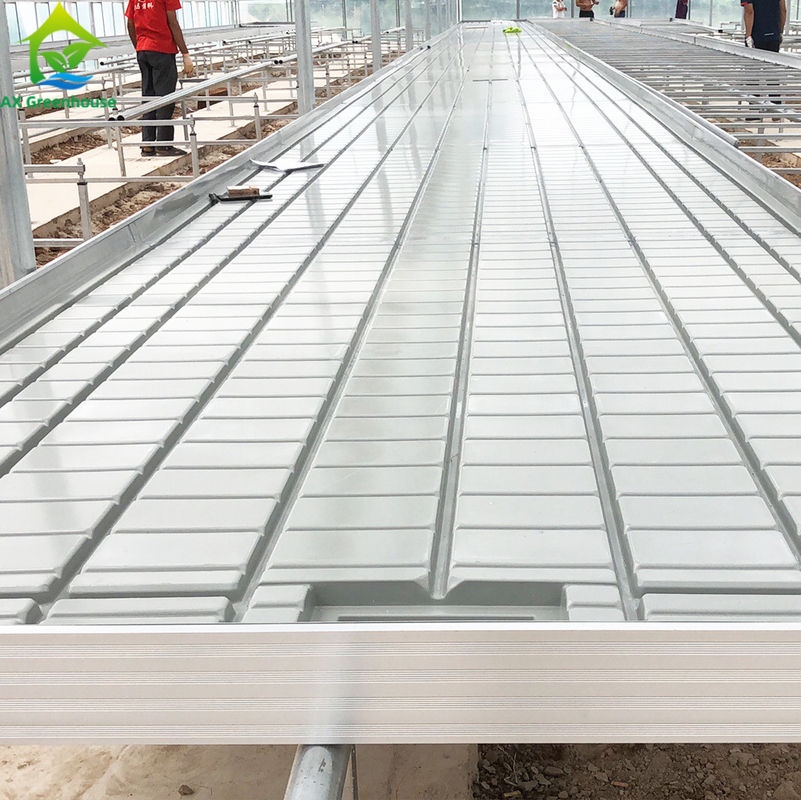 Wartość cieplarnianą Ebb Flow Seeding Rolling Bench Grow Tables For Growing Various Plant Types