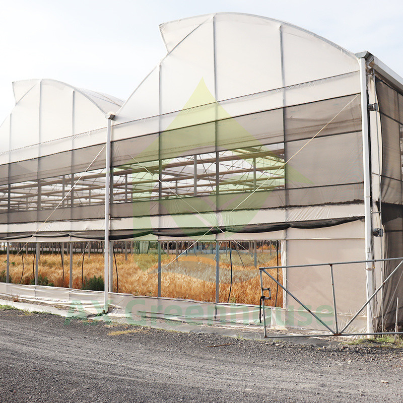 Stalowa struktura UV-odporny film Poly Tunnel Multi-span Warzywna szklarni dla pomidorów