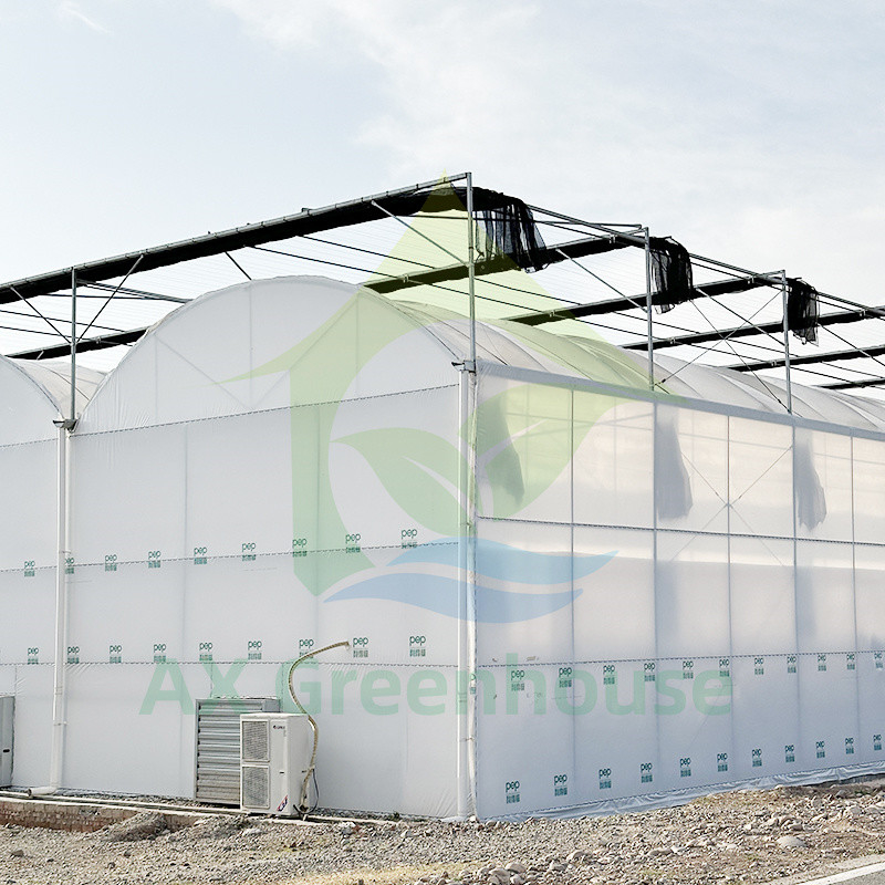 Szklarnia z plastikowego folii PE Multi Span Tomato Poly Tunnel dla owoców i warzyw z siecią cieniową