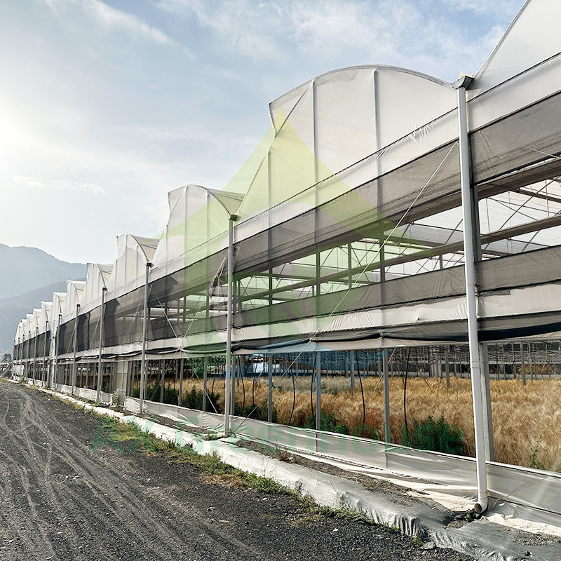 Szklarnia z plastikowego folii PE Multi Span Tomato Poly Tunnel dla owoców i warzyw z siecią cieniową