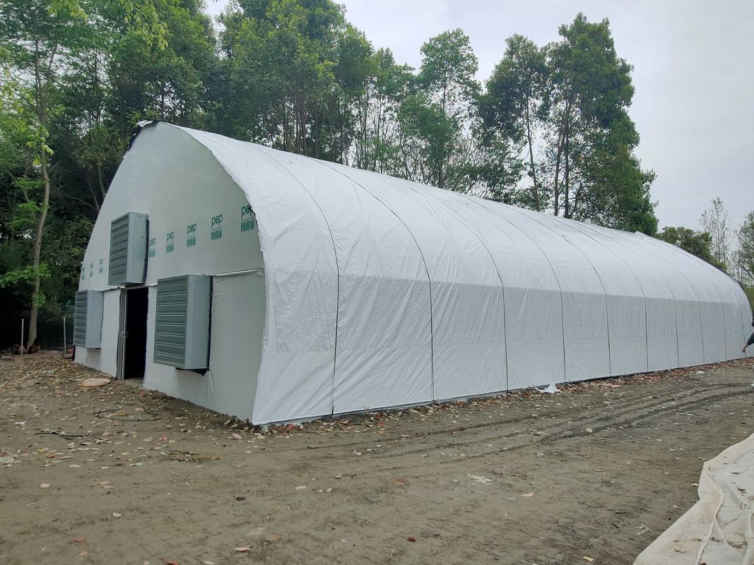 Ceny fabryczne Niestandardowy tunel z tworzyw sztucznych, namiot do uprawy pomidorów, szklarnię dla rolnictwa