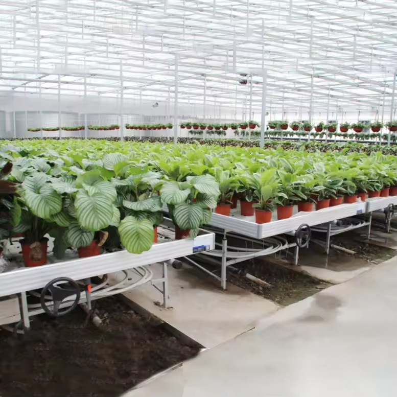 Szklarnia Wnętrze Hydroponic Ebb And Flood Rolling Benches Grow Seed Table Do siewu