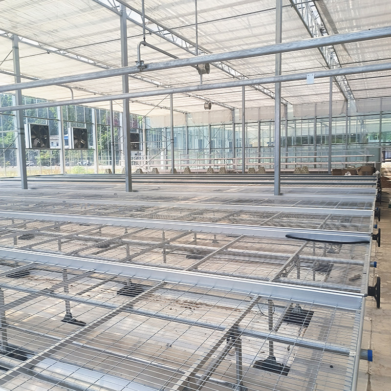 Rolnictwo Handlowe Wewnętrzne Mesh Wire Szklarnia Grow Table Rolling Bench Do siewu