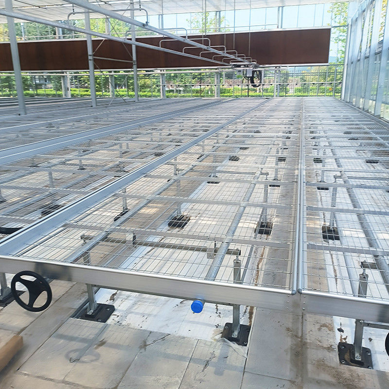 Lekkie, wszechstronne stoły do szklarni, rozszerzalne do uprawy różnych rodzajów roślin, odporne na rdzę