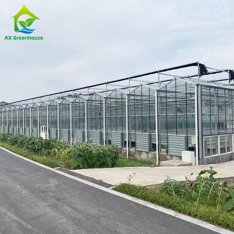 9.6m/10.8m/12m szerokość ramy aluminium stopów rolniczych szkła Venlo wielowymiarowa szklarni z trójkątnym kształtowaniem dachu