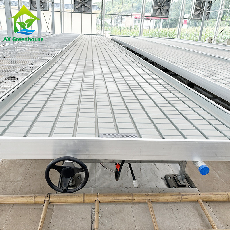 Szklarnia Wnętrze Hydroponic Ebb And Flood Rolling Benches Grow Seed Table Do siewu