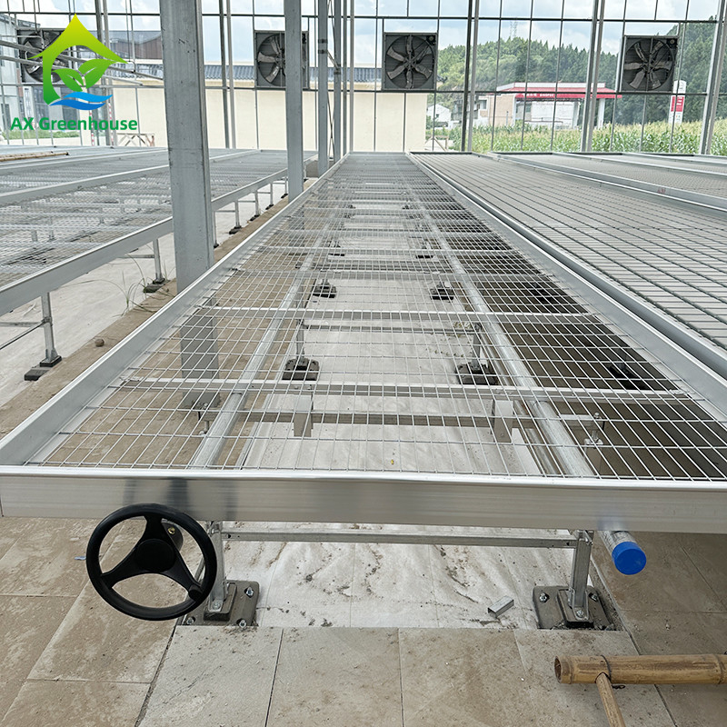 Szklarnia Wnętrze Hydroponic Ebb And Flood Rolling Benches Grow Seed Table Do siewu