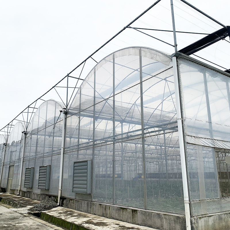 Stalowa struktura UV-odporny film Poly Tunnel Multi-span Warzywna szklarni dla pomidorów