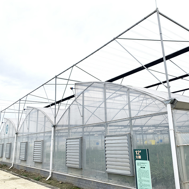 Struktura stalowa Zęby pionowe Polifolia niskotunnelowa Szklarnia rolnicza wielowymiarowa dla zrównoważonej produkcji warzyw