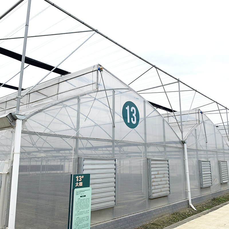 Struktura stalowa Zęby pionowe Polifolia niskotunnelowa Szklarnia rolnicza wielowymiarowa dla zrównoważonej produkcji warzyw