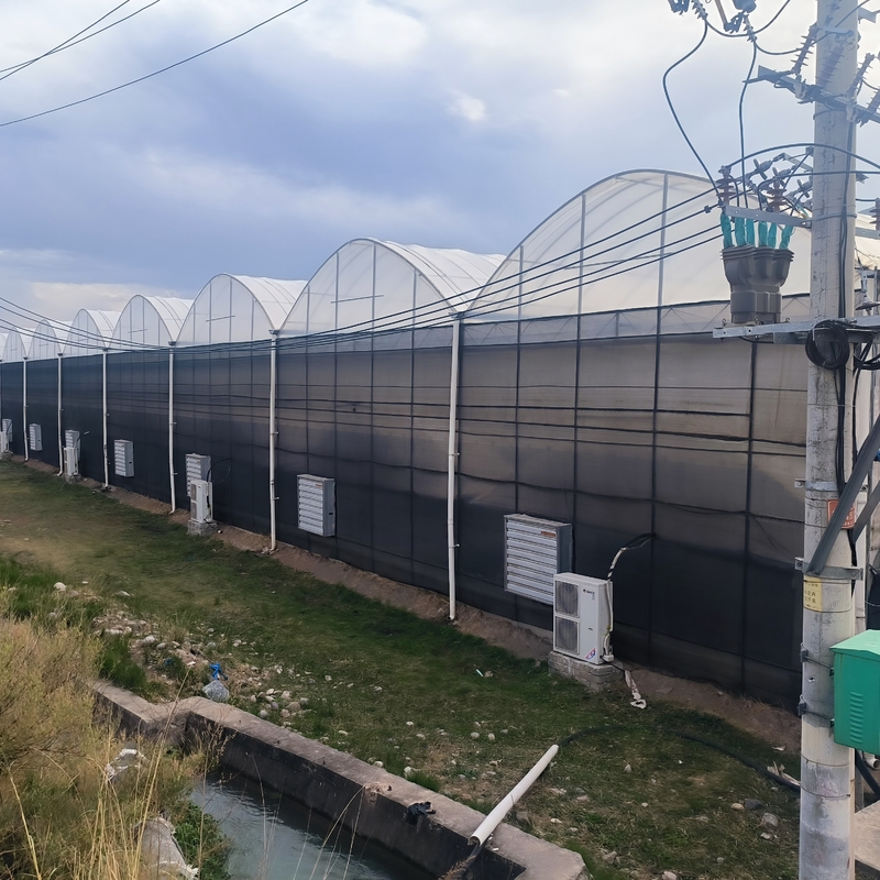 Stalowa konstrukcja rolnicza tunel poli czarny ciepłowiec wielowymiarowy z opcjonalnym systemem chłodzenia