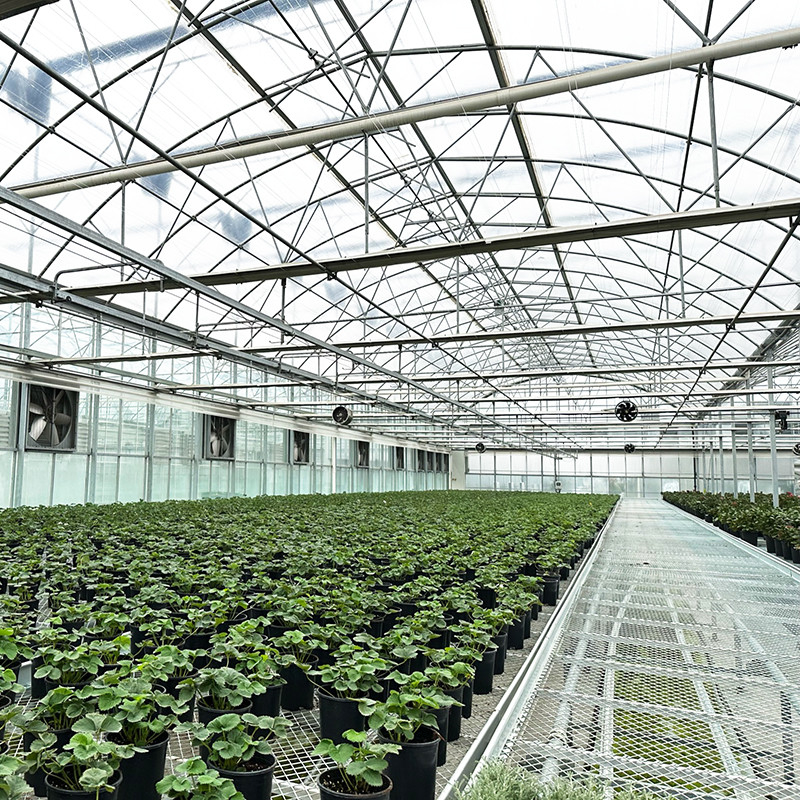 Stalowa struktura UV-odporny film Poly Tunnel Multi-span Warzywna szklarni dla pomidorów