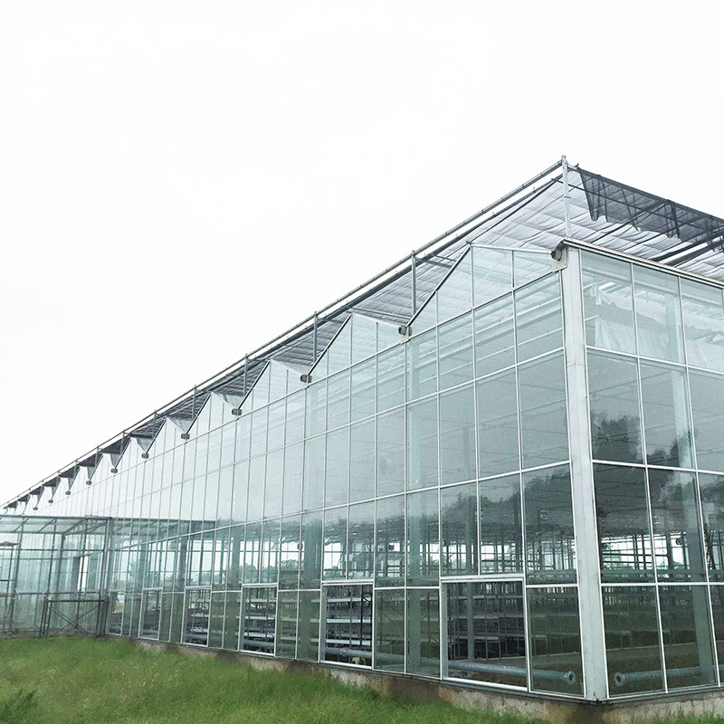 9.6m/10.8m/12m szerokość ramy aluminium stopów rolniczych szkła Venlo wielowymiarowa szklarni z trójkątnym kształtowaniem dachu