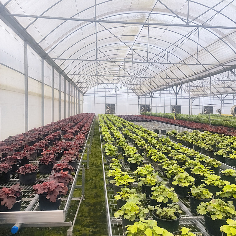 Gorąca sprzedaż Niestandardowe Poly Tunnel Wielopłaszczyznowe UV-odporne szklarni do pomidorów