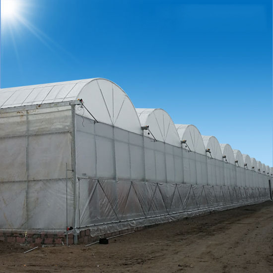 Gorąca sprzedaż Niestandardowe Poly Tunnel Wielopłaszczyznowe UV-odporne szklarni do pomidorów