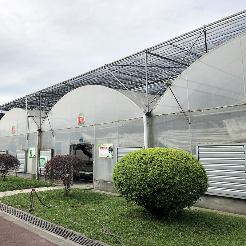 Struktura stalowa Duży tunel Niestandardowe wielowymiarowe plastikowe szklarni do uprawy jagód dla stabilnej struktury