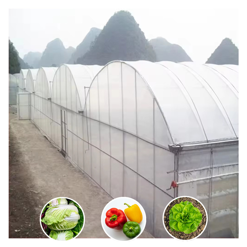 Gorąca sprzedaż Niestandardowe Poly Tunnel Wielopłaszczyznowe UV-odporne szklarni do pomidorów