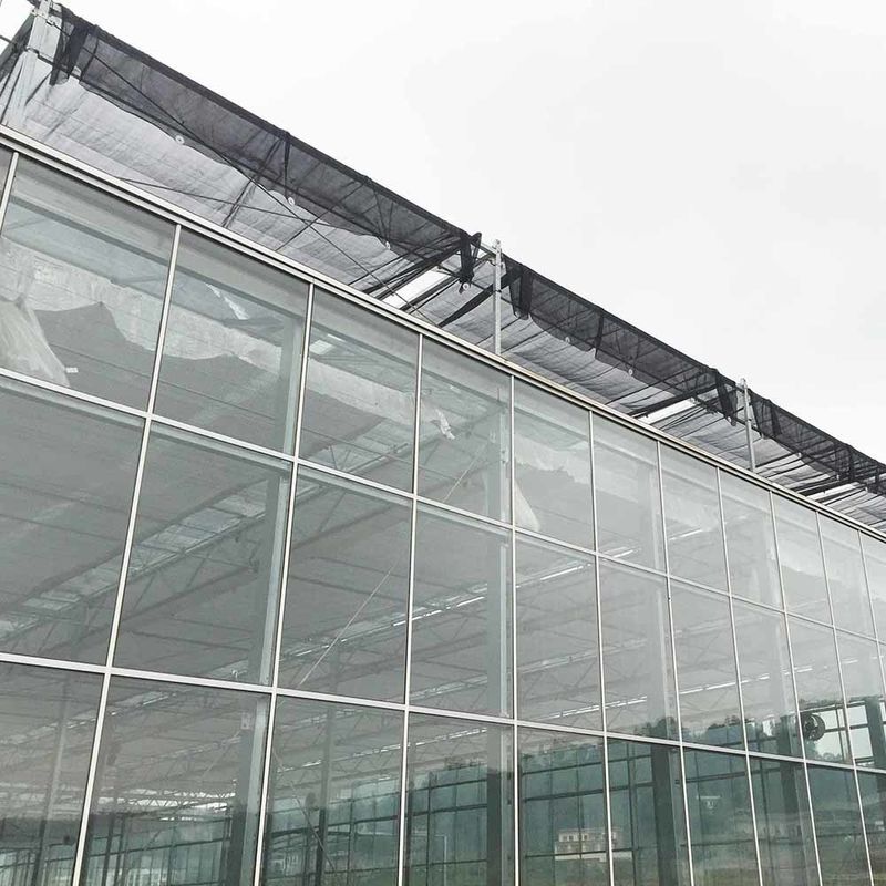 Szklana szkła rolnicza w stylu Multi Span Venlo z trójkątnym kształtowaniem dachu i wentylacją górną