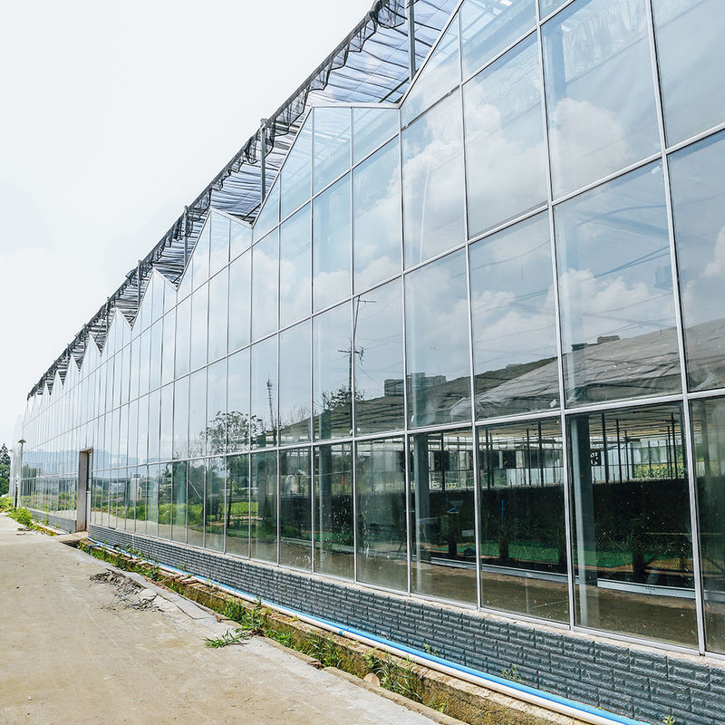 Ogrodnictwo Wielopłaszczyznowe Ogrodnictwo Kwiatów Ogrodnictwo rośliny roślinne