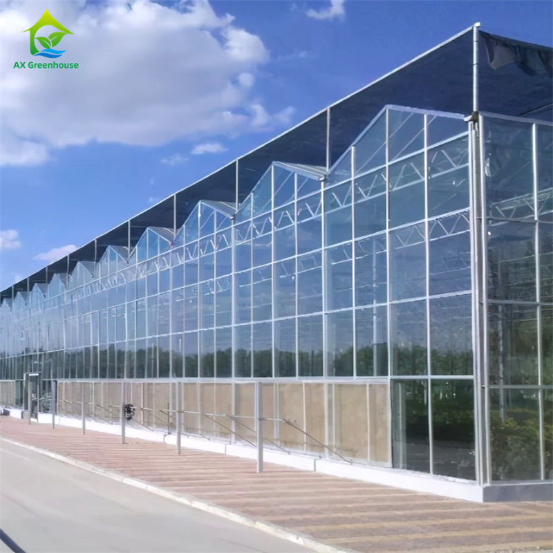 Wyposażenie do uprawy truskawek warzywnych w trwałym szklarni poliwęglanowej - Zestaw szklarni typu „wszystko w jednym”