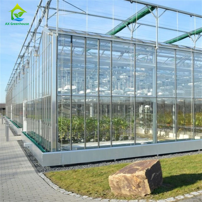 Wyposażenie do uprawy truskawek warzywnych w trwałym szklarni poliwęglanowej - Zestaw szklarni typu „wszystko w jednym”