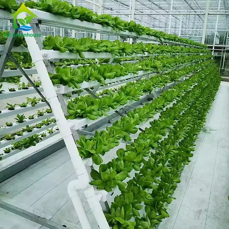 Greenhouse NFT hydroponic syestem soilless cultivation A-Shaped multi-layer PVC nutrient solution vegetable planting