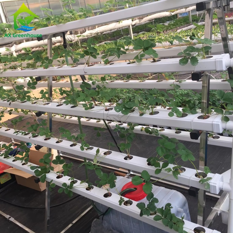 System uprawy bezglebowej w szklarni w kształcie litery A, technika warstwy pożywnej (NFT), wydajna uprawa warzyw