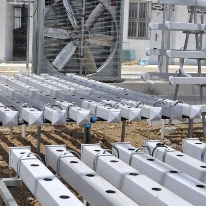 System hydroponiczny NFT z PVC klasy spożywczej z inhibitorami UV i konfigurowalnymi wymiarami do komercyjnych szklarni