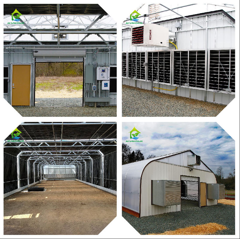 Inteligentny system monitorowania cieplarnianego z mocą AC220V i miernikiem stężenia CO2 0~50000 ppm dla optymalnej kontroli klimatu