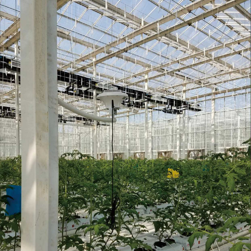 Inteligentny system monitorowania cieplarnianego z mocą AC220V i miernikiem stężenia CO2 0~50000 ppm dla optymalnej kontroli klimatu