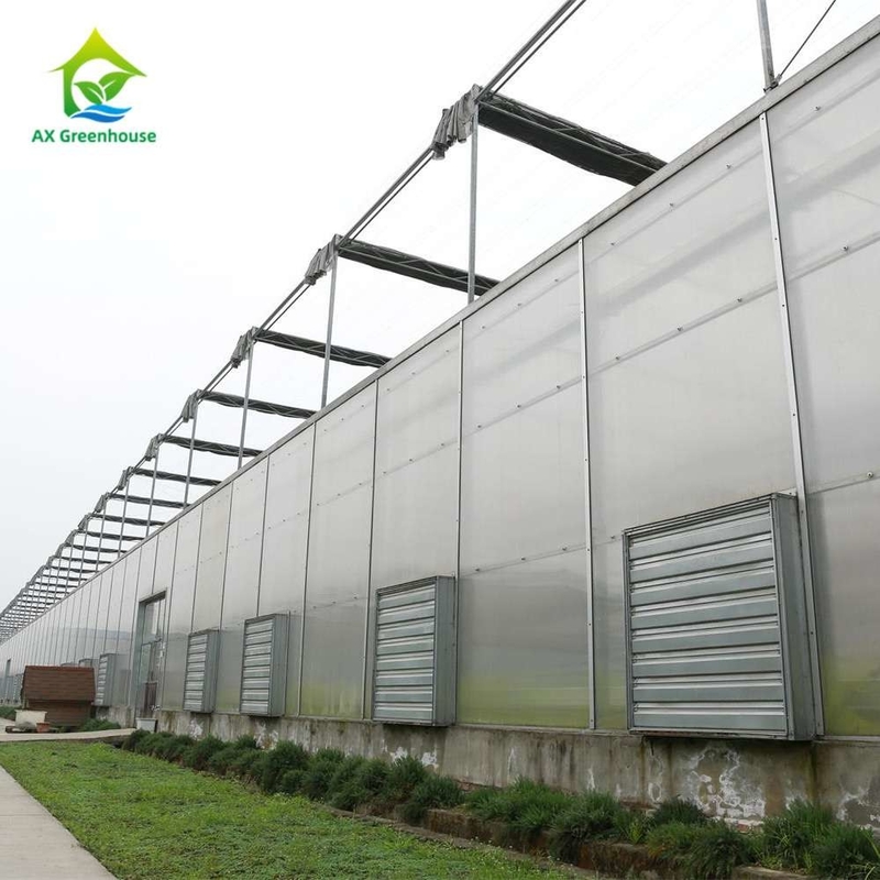 Rośliny uprawy Single Span Polycarbonate PC Sheet Szklarnia ze stabilną strukturą i łatwą montaż