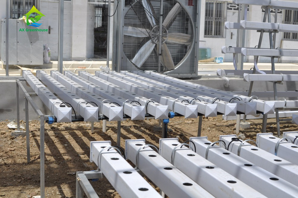 Bezglebne uprawy w pomieszczeniach, uprawa truskawek, rurki PVC do hydroponiki, system NFT do sprzedaży