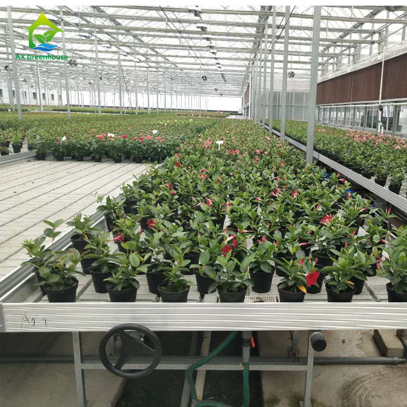 Ogrodnictwo Zindywidualizowany rozmiar Stolik do hodowli w szklarni Hydroponic Ebb Flood Rolling Bench