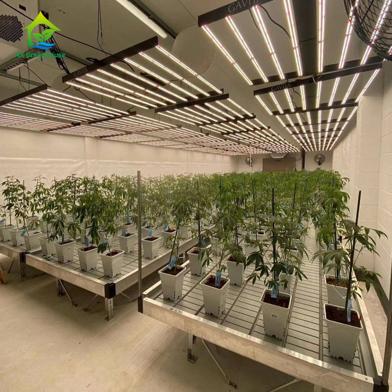 Stabilne, ekologiczne stoły przesuwne do szklarni z płytą z tworzywa ABS i ramą ze stopu aluminium w rozmiarach do dostosowania