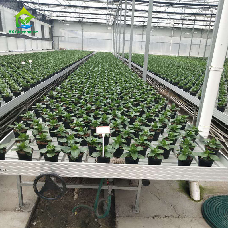 Stabilne, ekologiczne stoły przesuwne do szklarni z płytą z tworzywa ABS i ramą ze stopu aluminium w rozmiarach do dostosowania