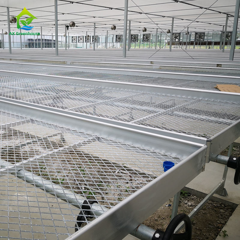 Rolnictwo Handlowe Wewnętrzne Mesh Wire Szklarnia Grow Table Rolling Bench Do siewu
