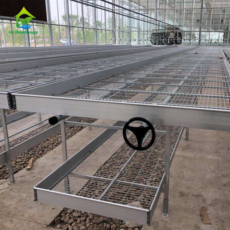 Rolnictwo Handlowe Wewnętrzne Mesh Wire Szklarnia Grow Table Rolling Bench Do siewu